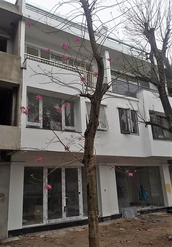 công trình cửa nhôm Xingfa nhập khẩu